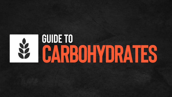 endurance athlete's guide to carbohydrates